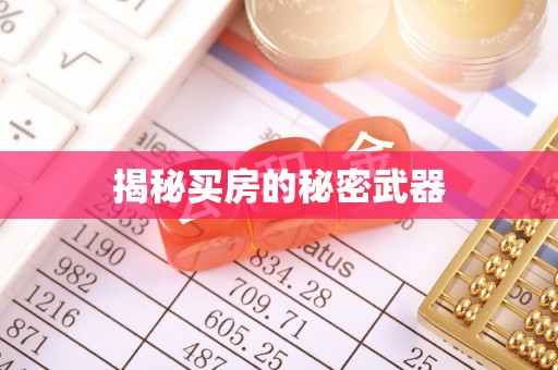 琼山揭秘买房的秘密武器