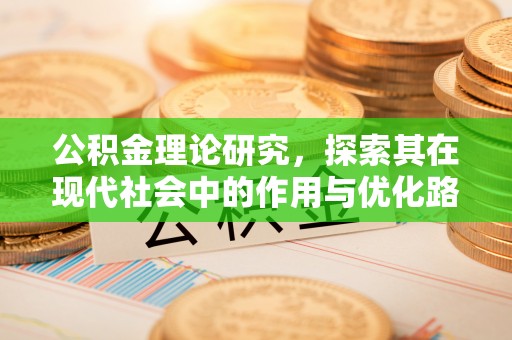琼山公积金理论研究，探索其在现代社会中的作用与优化路径