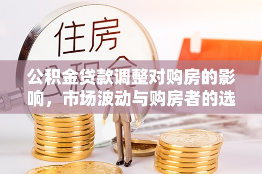 琼山公积金贷款调整对购房的影响，市场波动与购房者的选择