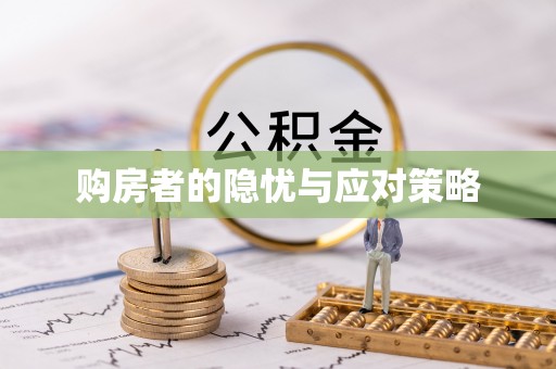 琼山购房者的隐忧与应对策略