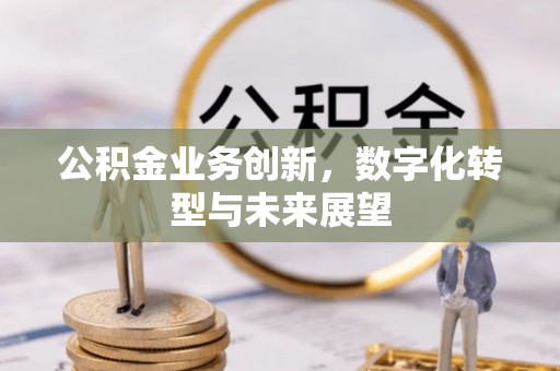 琼山公积金业务创新，数字化转型与未来展望