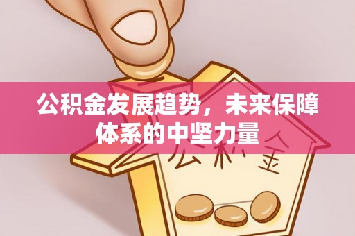 琼山公积金发展趋势，未来保障体系的中坚力量