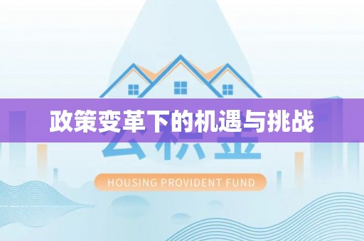 琼山政策变革下的机遇与挑战
