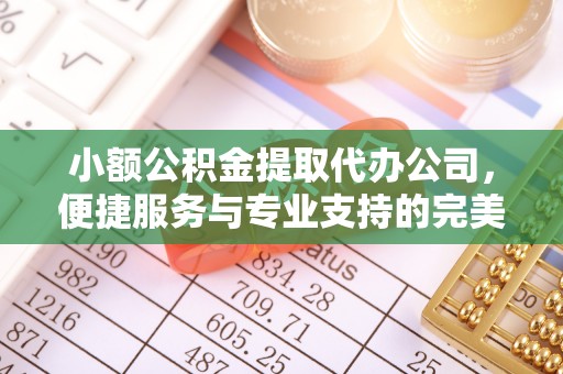 琼山小额公积金提取代办公司，便捷服务与专业支持的完美结合