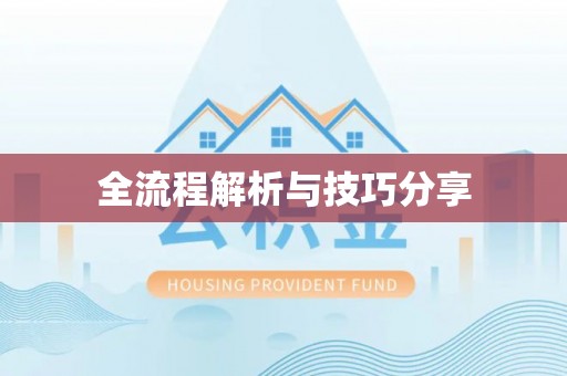 琼山全流程解析与技巧分享